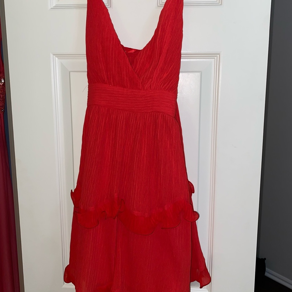 Impeccable Pig Ruffle Dress